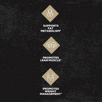 Supplement - All