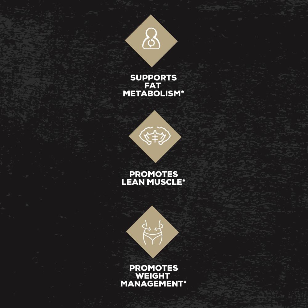 Supplement - All