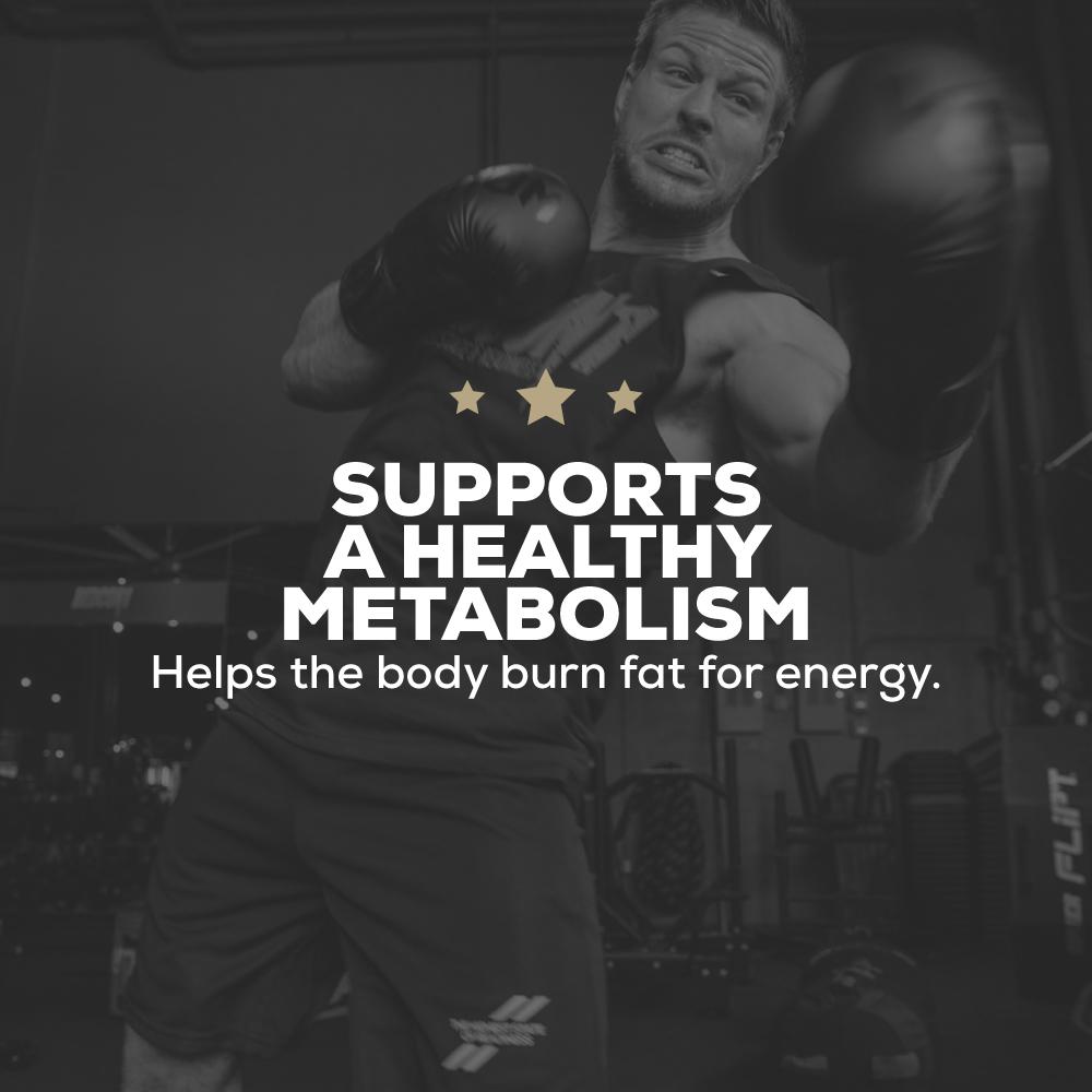 Supplement - All