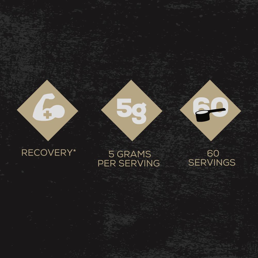 Supplement - All
